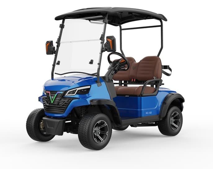 2-Seater Golf Cart