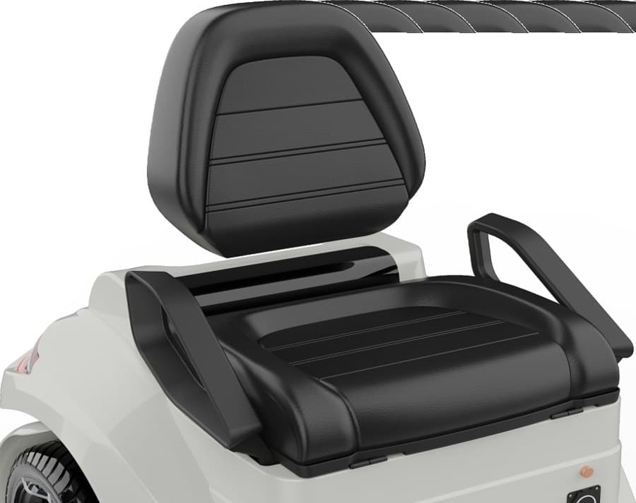 Seat leather — Black